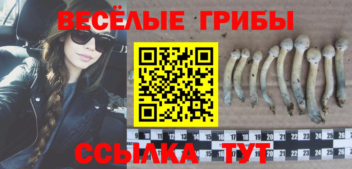 Псилоцибиновые грибы Psilocybine cubensis Юрга
