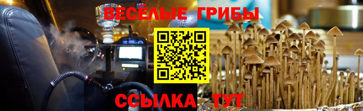 Псилоцибиновые грибы ЛСД  Вход с VPN  продажа наркотиков  Псилоцибиновые грибы прущие грибы  Юрга 